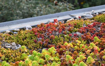 the cost of Castlerigg green roof installation