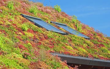 Castlerigg living roof systems